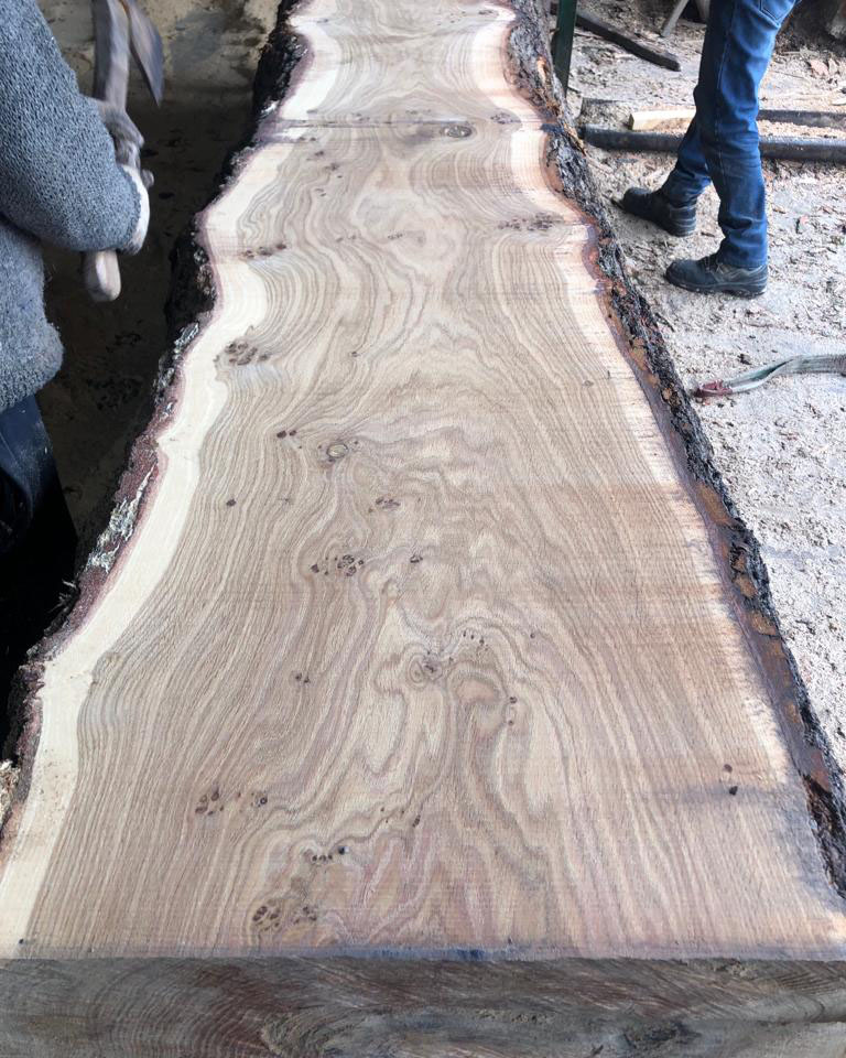 Вековой дуб на слэбы