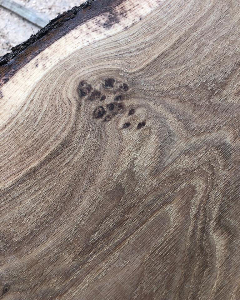 Дуб фактура 1